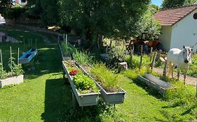 Casa Rural Roncesvalles